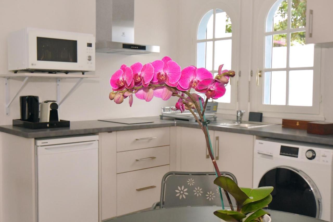 Le Jacaranda Du Guillaume Bed and Breakfast Le Guillaume Eksteriør billede