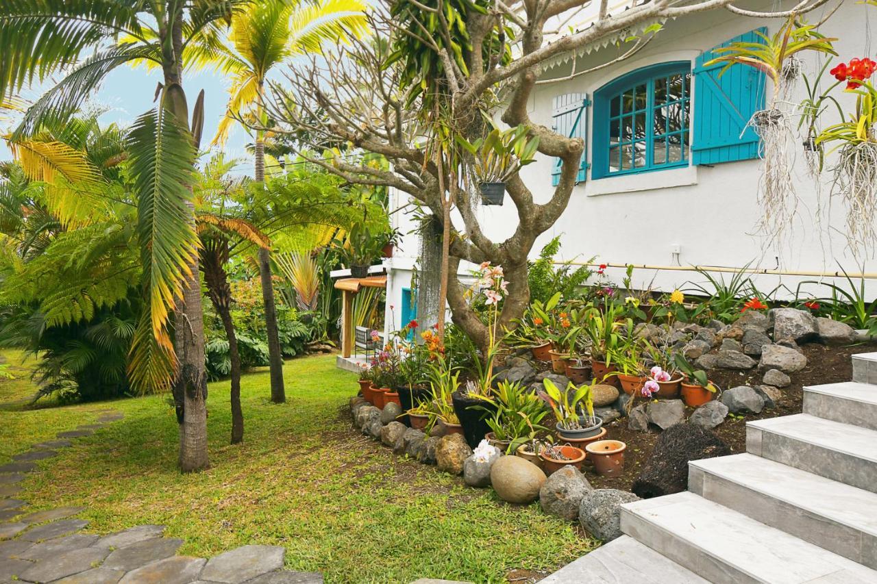 Le Jacaranda Du Guillaume Bed and Breakfast Le Guillaume Eksteriør billede